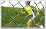 Chain Link Fence 